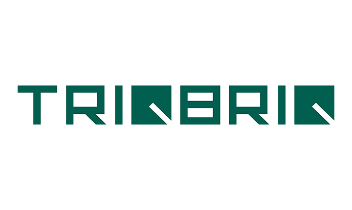 Logo: Triqbriq